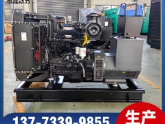 4BTA3.9-G11东风康明斯50KW柴油发电机组