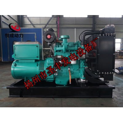 4B3.9-G2东风康明斯动力配套20KW柴油发电机组