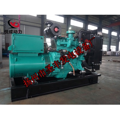 4B3.9-G1东风康明斯动力配套20KW柴油发电机组